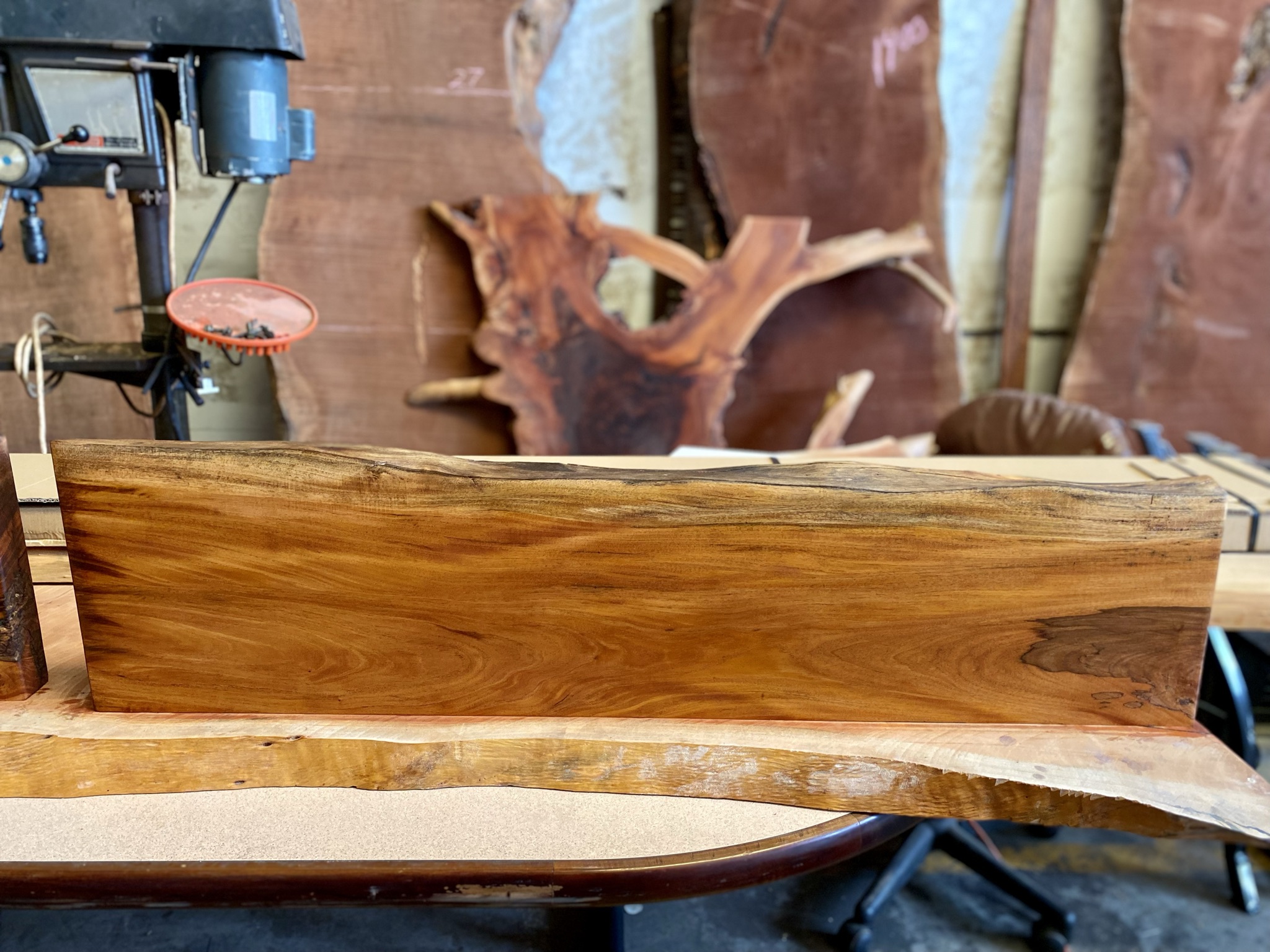 Live Edge Floating Shelves in Naples, FL. August 2021 Naples Live