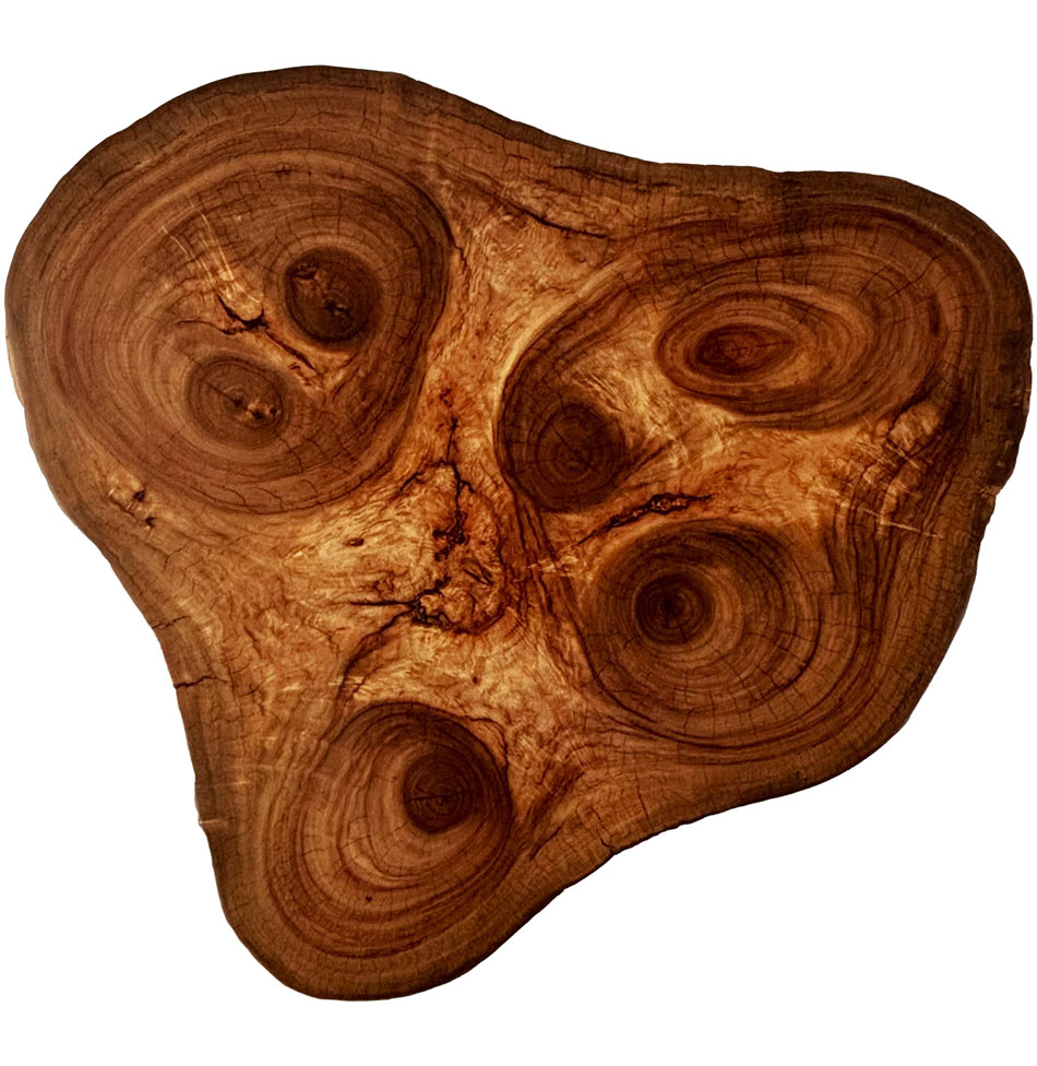 Naples Live Edge Wood | Custom Live Edge Wood Furniture & Epoxy River Tables handcrafted in Naples, Florida